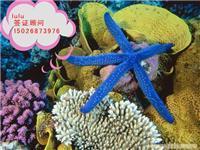 韓亞旅游信息咨詢 印度簽證材料簡化、陸路代辦價格與票務代售服務詳解